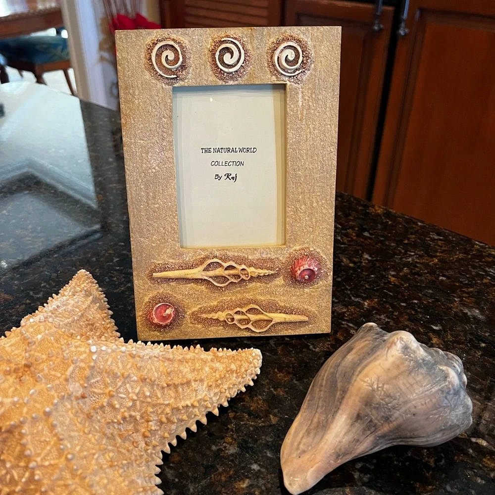 NEW Dimensional Seashell Picture Frames-Set of 2 by Raj